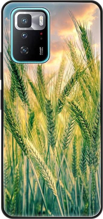 Cornfield