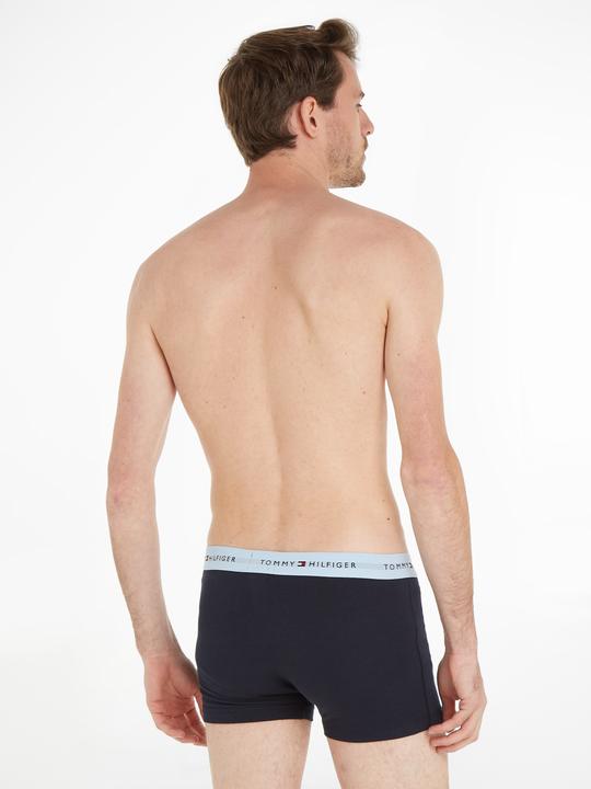 Actual product image Tommy Hilfiger WB Trunk (L, pack of 3)