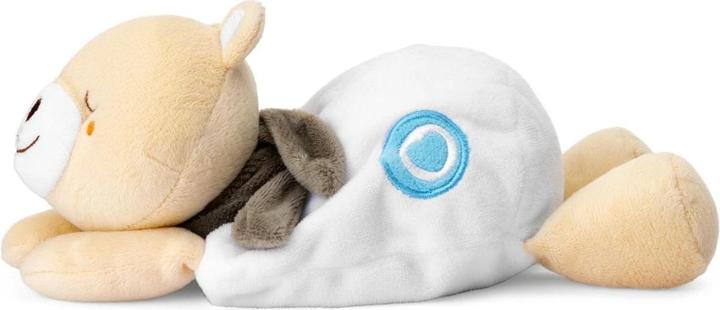 Actual product image Chicco Warm Cuddle Bear Plush