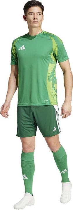 Actual product image adidas TIRO24 SHORT (XS)