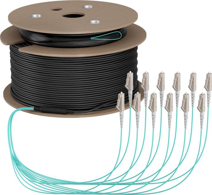 Image du produit EFB Elektronik Câble trunk U-DQ ZN BH OM3 12G 1x12 LC-LC 180m Dca LSZH (180 m)
