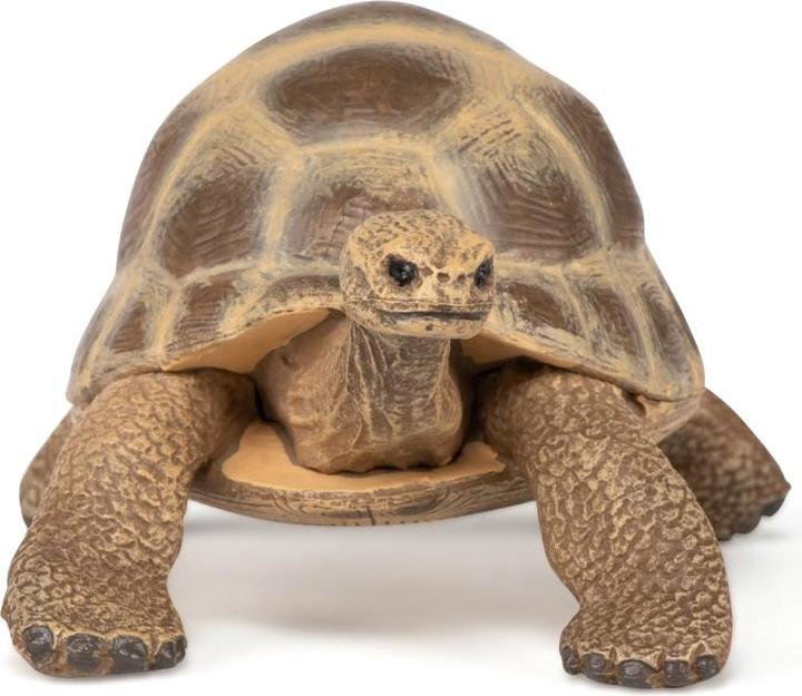 Produktbild Papo Hermanns Schildkröte