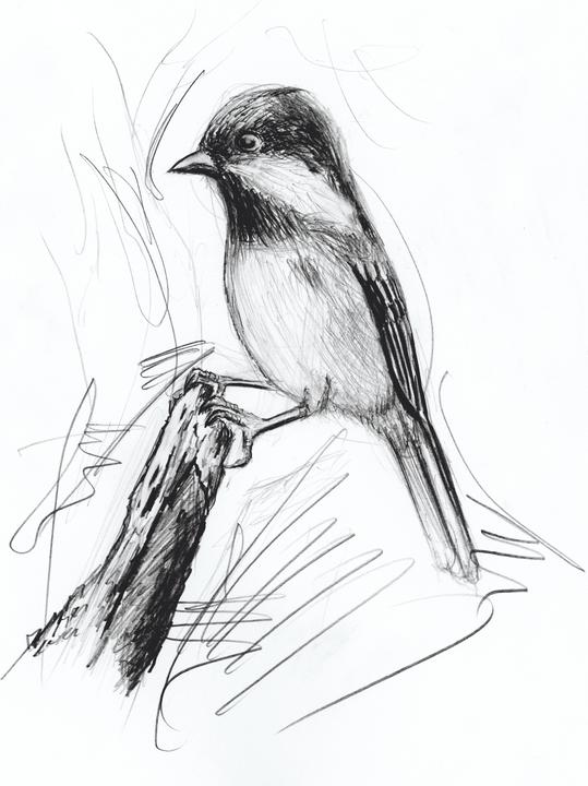 Image du produit Staedtler Crayon à mine fine 0,7