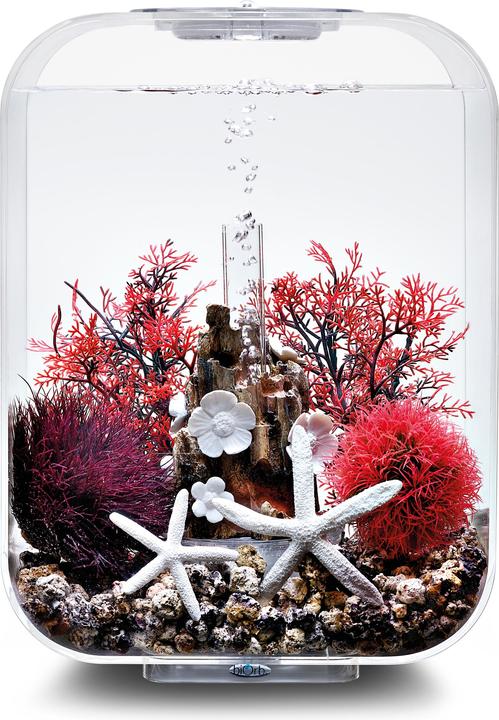 Image du produit Oase BiOrb Aquarium 15 Set décoratif (Décoration, autres éléments)