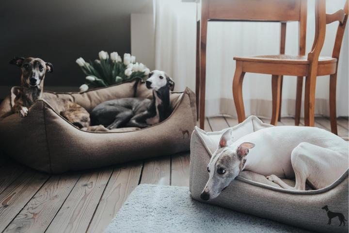 Image du produit Hunter Canapé pour chien Livingston tissu (Chien)