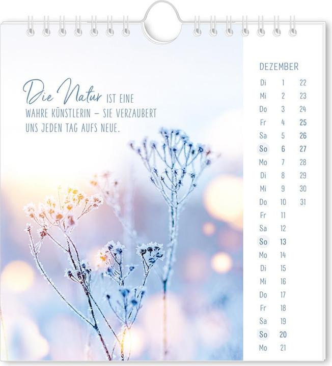 Produktbild Postkartenkalender 2026 Lichtblicke (16 x 17 cm, Harter Einband, Deutsch)