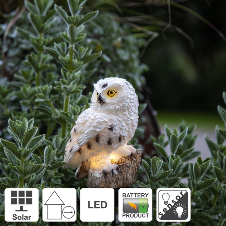 Actual product image Star Trading Owl (IP44)