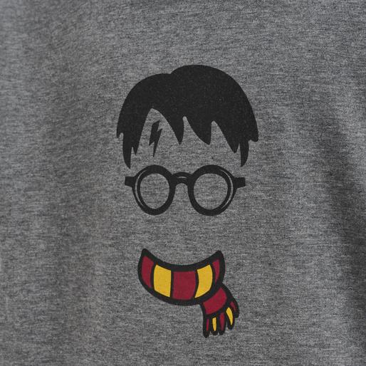 Immagine prodotto hummel Hmlharry Potter Cuatro Hoodie (116)