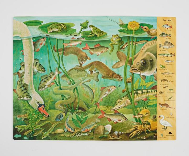 Produktbild Das Riesen-Natur-Wimmelbuch (Deutsch, Christine Henkel, 2018)