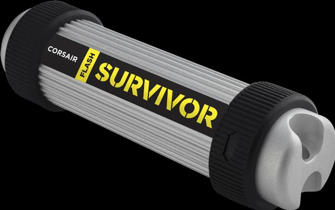 Actual product image Corsair Survivor (128 GB)