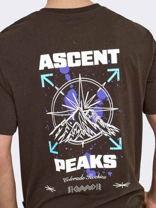 Produktbild Only & Sons Onskeane Rlx Ss Print Tee Noos (XL)