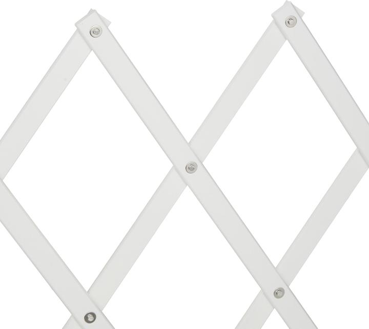 Actual product image Relaxdays Dog barrier (3 cm)