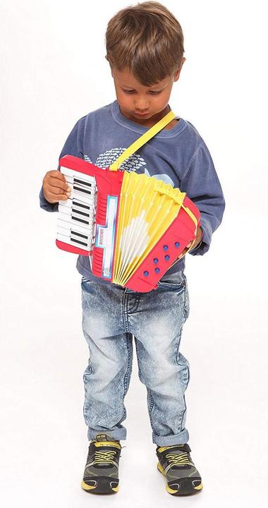 Actual product image Bontempi Accordion