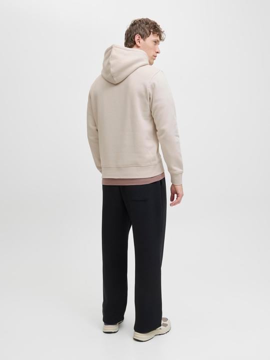 Actual product image Jack & Jones Jjesoho Sweat Hood Noos (L)