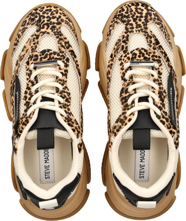 Image du produit Steve Madden baskets possessionl-e (38)