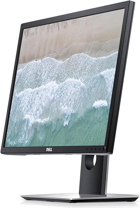 Actual product image Dell P2217 (1680 x 1050 pixels, 22")