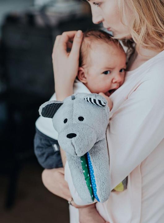 Image du produit Whisbear L'ours qui fredonne (36 cm)