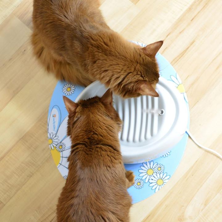 Produktbild Lucky Kitty Keramik Trinkbrunnen (1.50 l)