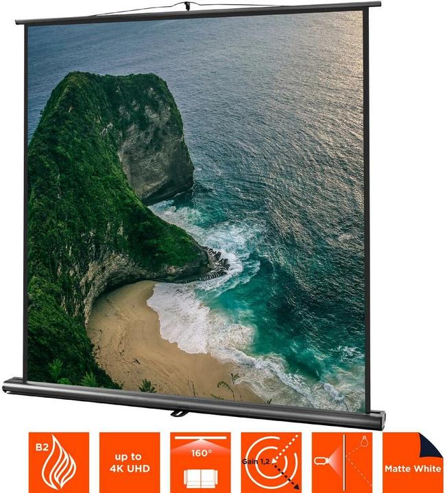 Image du produit Celexon Ultramobile professionnel (109", 1:1)