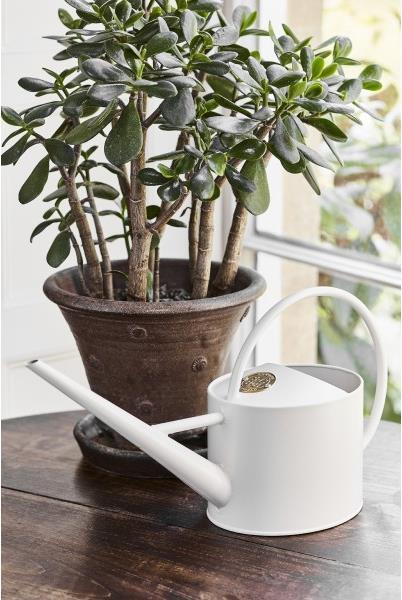 Immagine prodotto Burgon & Ball Innaffiatoio (1.70 l)