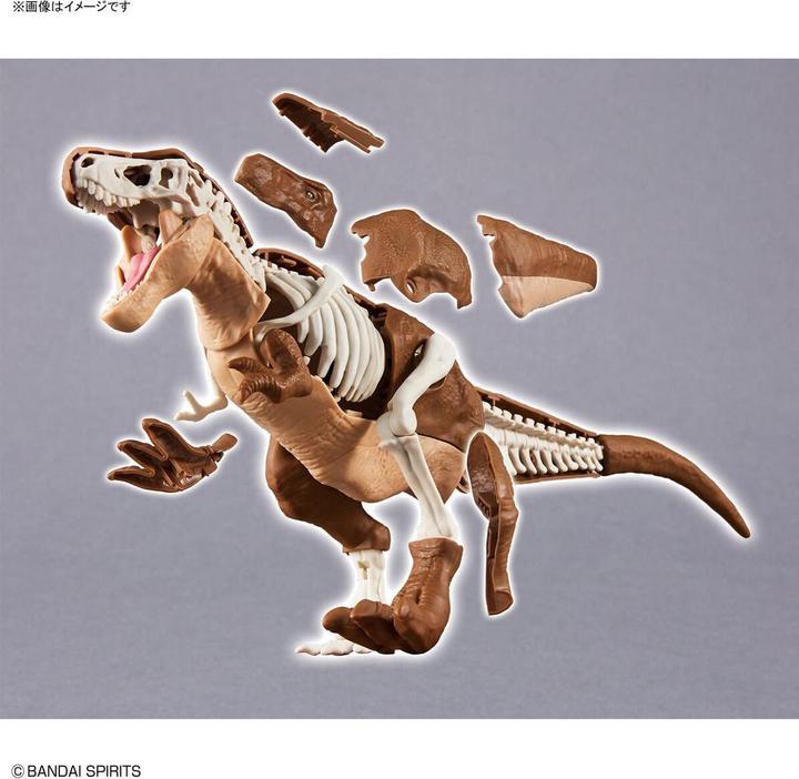 Actual product image Bandai DINOSAUR - New Dinosaur Plastic Tyrannosaurus (Tentative) - Model Kit