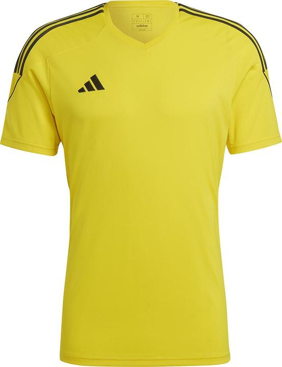 Yellow / Black