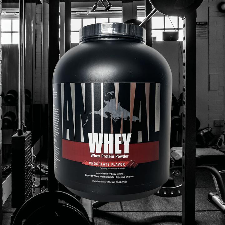 Produktbild Universal Nutrition Animal Whey, 2300 g Dose (Chocolate, 1 Stk., 2577 g)