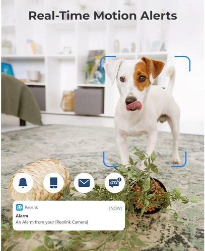 Actual product image Reolink CAREolink E1-V2, 3MP, 1080p Full HD (2304 x 1296 Pixels)