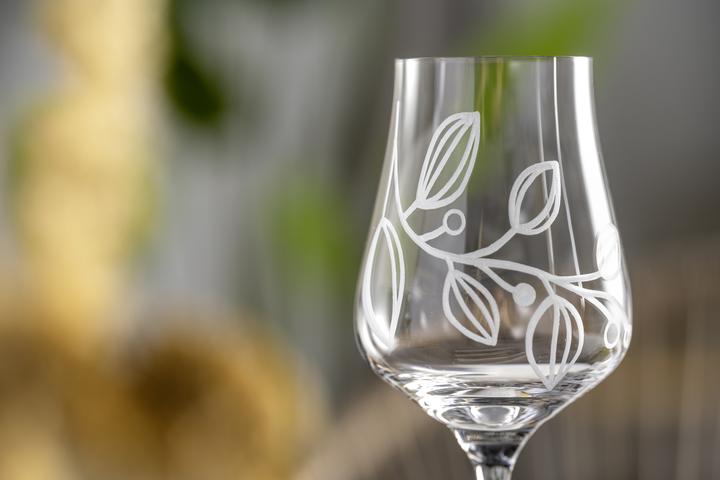 Produktbild Leonardo Grappaglas Boccio 210 ml, 6 Stück, Transparent (2.10 dl, 6 x, Likörgläser + Grappagläser)