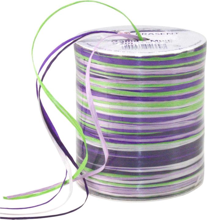 Präsent Raffia-Multi (Geschenkband, 1 x)