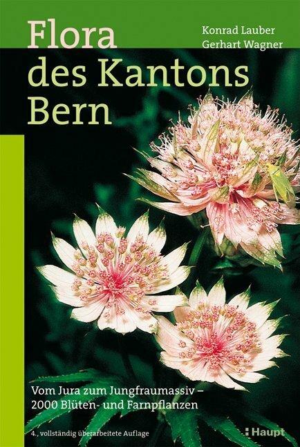 Produktbild Flora des Kantons Bern (Deutsch, Andreas Gygax, 2006)