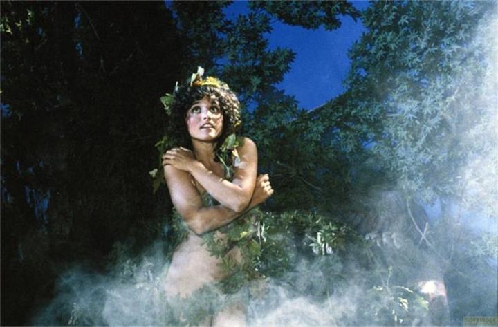 Actual product image Troll (DVD, English, German)