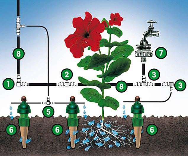 Image du produit Blumat Branche et embout de tuyau (Irrigation goutte à goutte Connecteur + dérivation)
