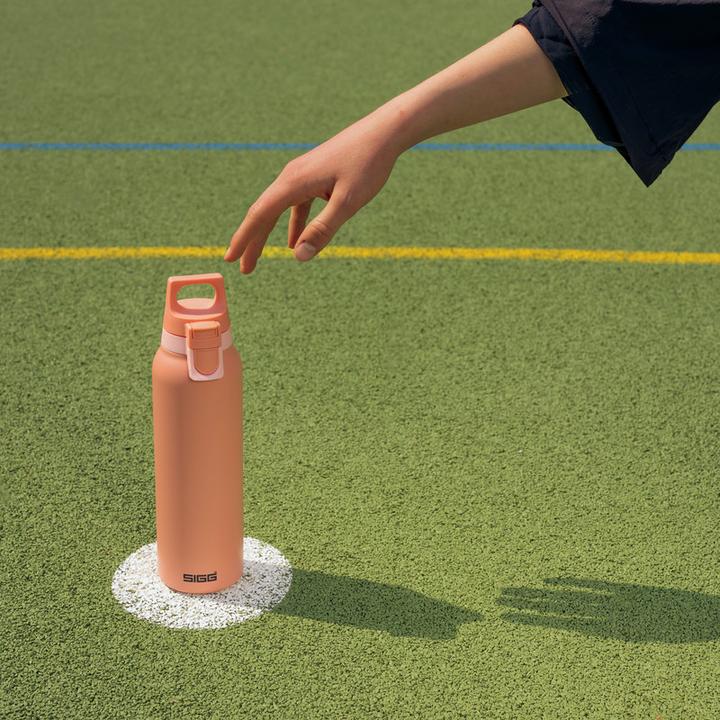 Productafbeelding Sigg H&C One Light (0.55 l)