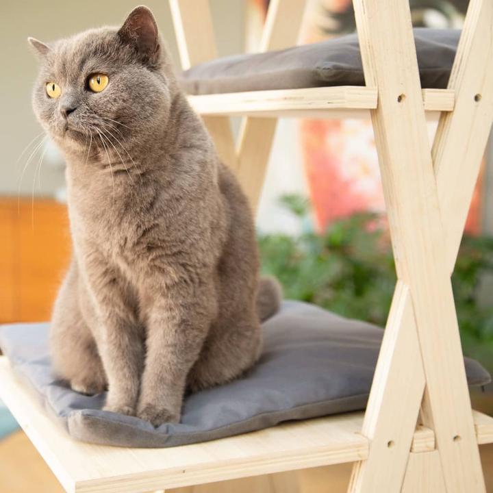 Immagine prodotto Beeztees Mirza (135 cm, Beige, Grigio)