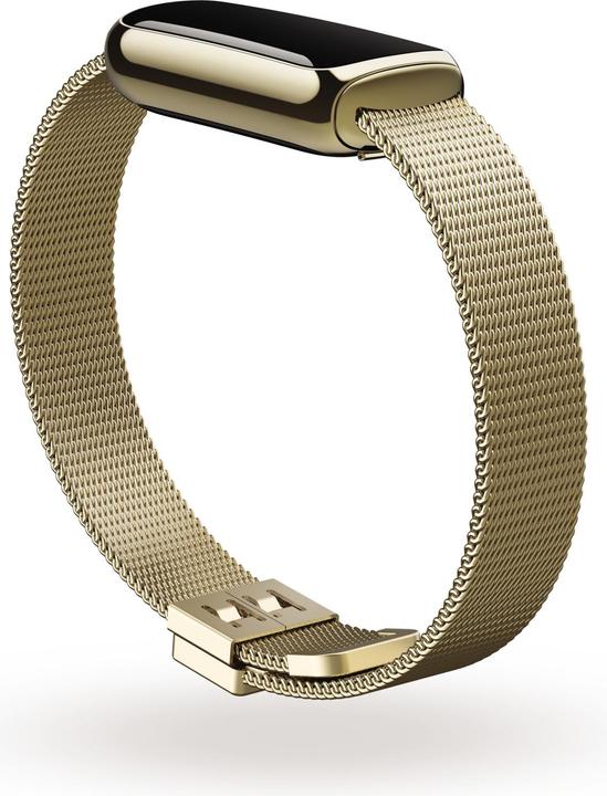 Actual product image Fitbit Luxe stainless steel bracelet (Stainless steel)
