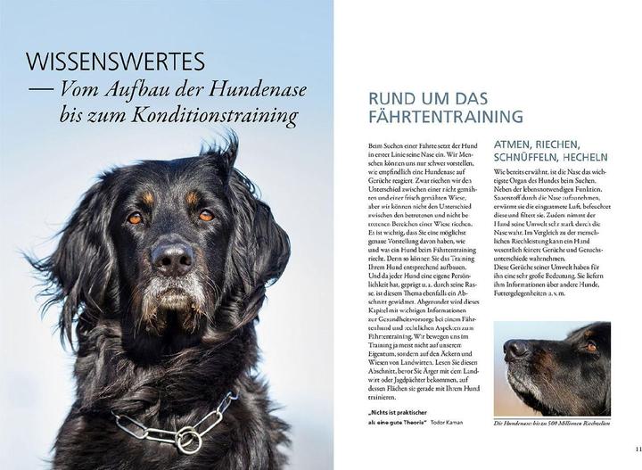 Produktbild Kosmos Trainingsbuch Fährtenarbeit (Deutsch, Ute C. Fallscheer, 2020)
