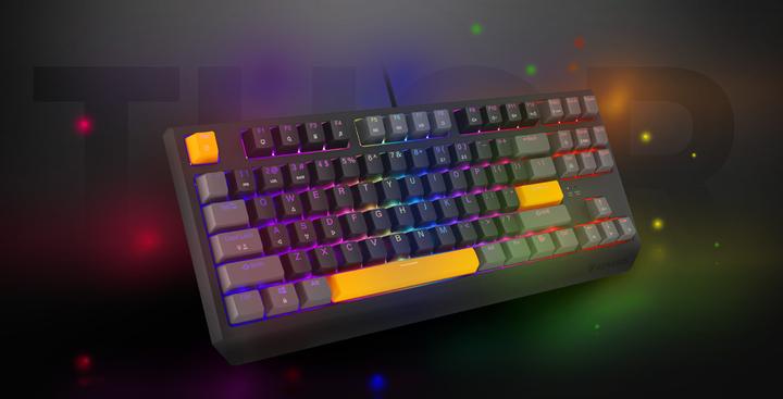 Actual product image Genesis Thor 230 TKL Anchor Gray Positive RGB Outemu Red (US, Cable)