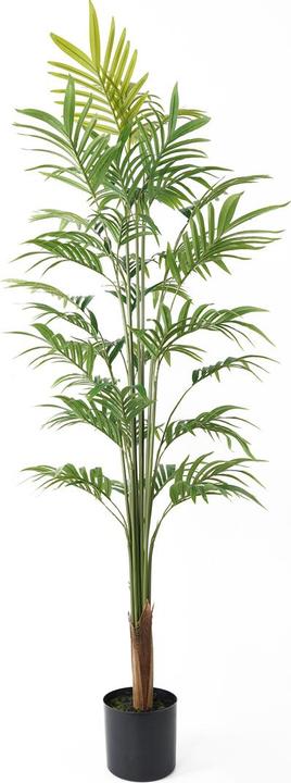 present time Kunstplant Gold Palm Tree Large - Groen - 65x65x160cm - Modern (160 cm)