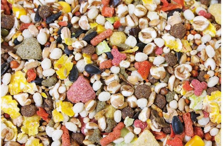 Actual product image JR Farm Staple Food Basic Rat Feast 2.5 kg (2.50 kg, 1 x)