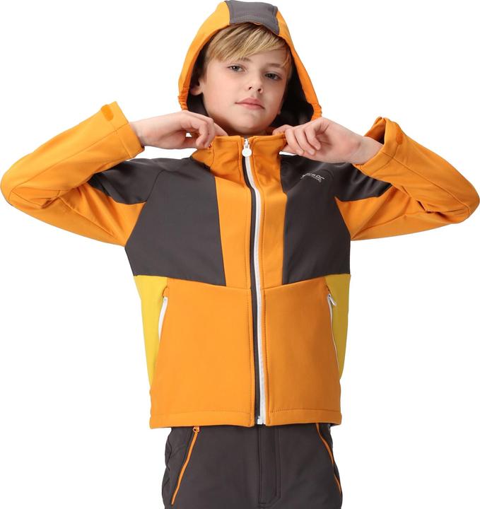 Immagine prodotto Regatta Haydenbury Giacca Soft Shell Bambini (164)