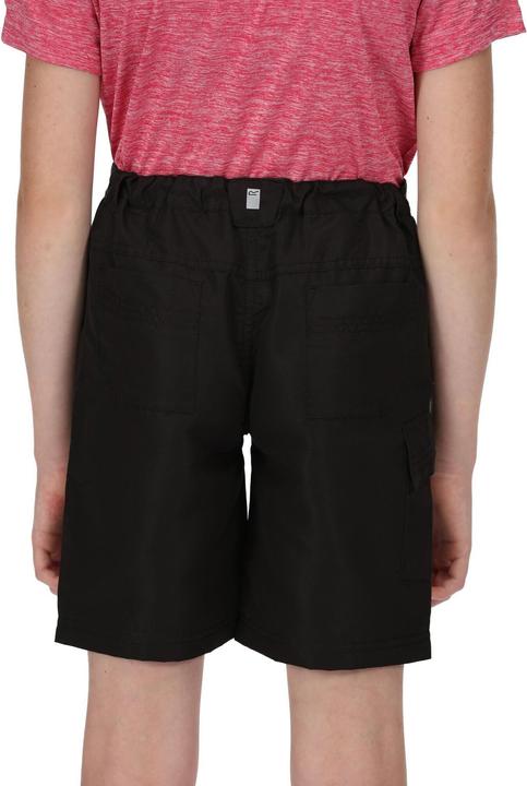 Actual product image Regatta Sorcer II Shorts (104)