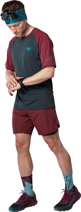 Actual product image Dynafit Alpine Pro M S/S Tee (S)