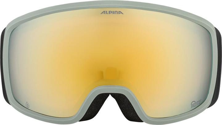 Actual product image ALPINA SPORTS Bivio Q-Lite