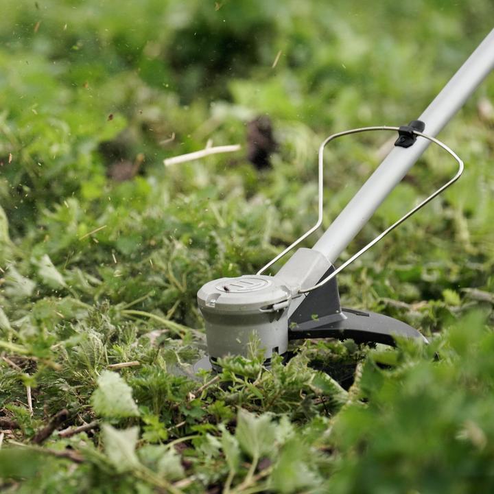 Immagine prodotto Bosch Home & Garden AdvancedBrushCut 36V-23-750 (Filo di taglio)