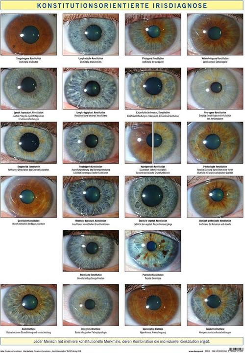 Produktbild Konstitutionsorientierte Irisdiagnose (Deutsch, Friedemann Garvelmann, 2018)