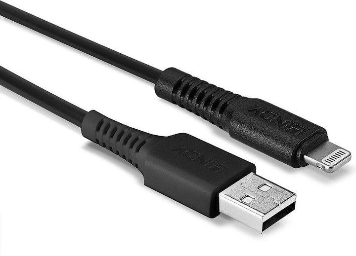 Actual product image Lindy Lightning – USB A (0.50 m, USB 2.0)