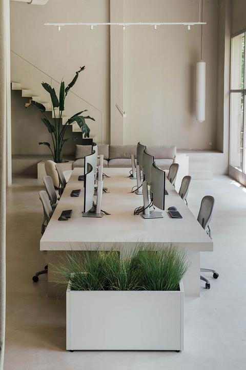 Image du produit Herstera Planter