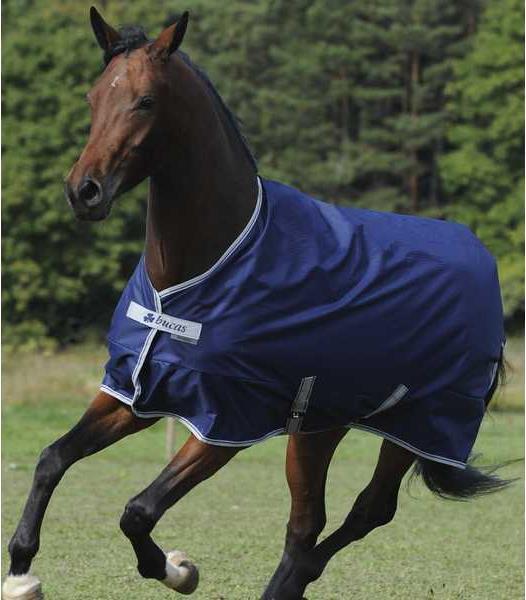 Produktbild Bucas Regendecke Freedom Turnout light (155 cm)