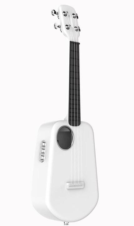 Popu Music Populele 2 Pro (Concert)